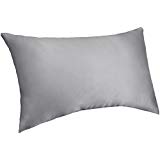 Pinzon Mulberry Silk Pillowcase - Standard, Silver